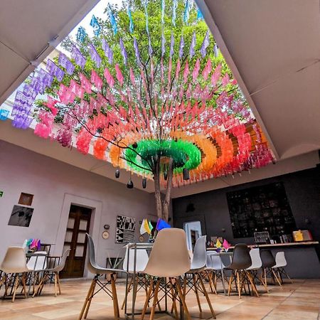 Bkl Hotel Oaxaca Kültér fotó