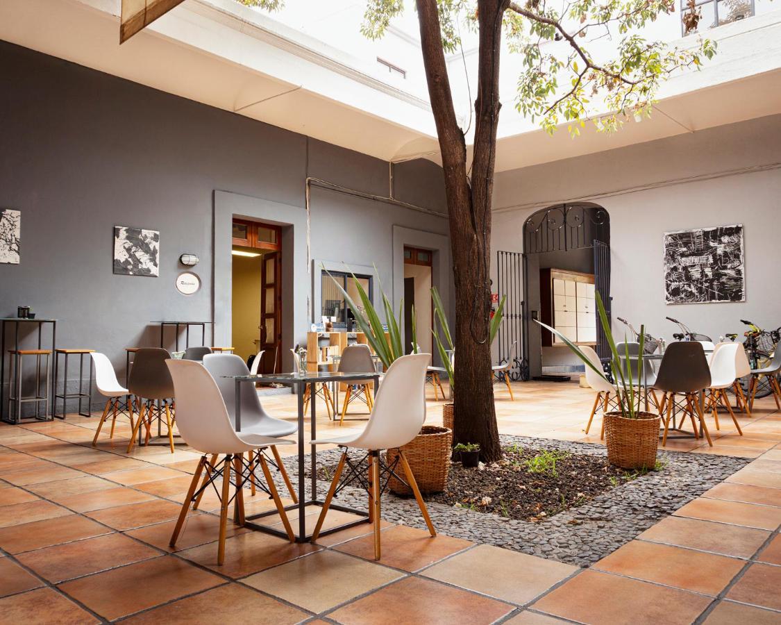 Bkl Hotel Oaxaca Kültér fotó