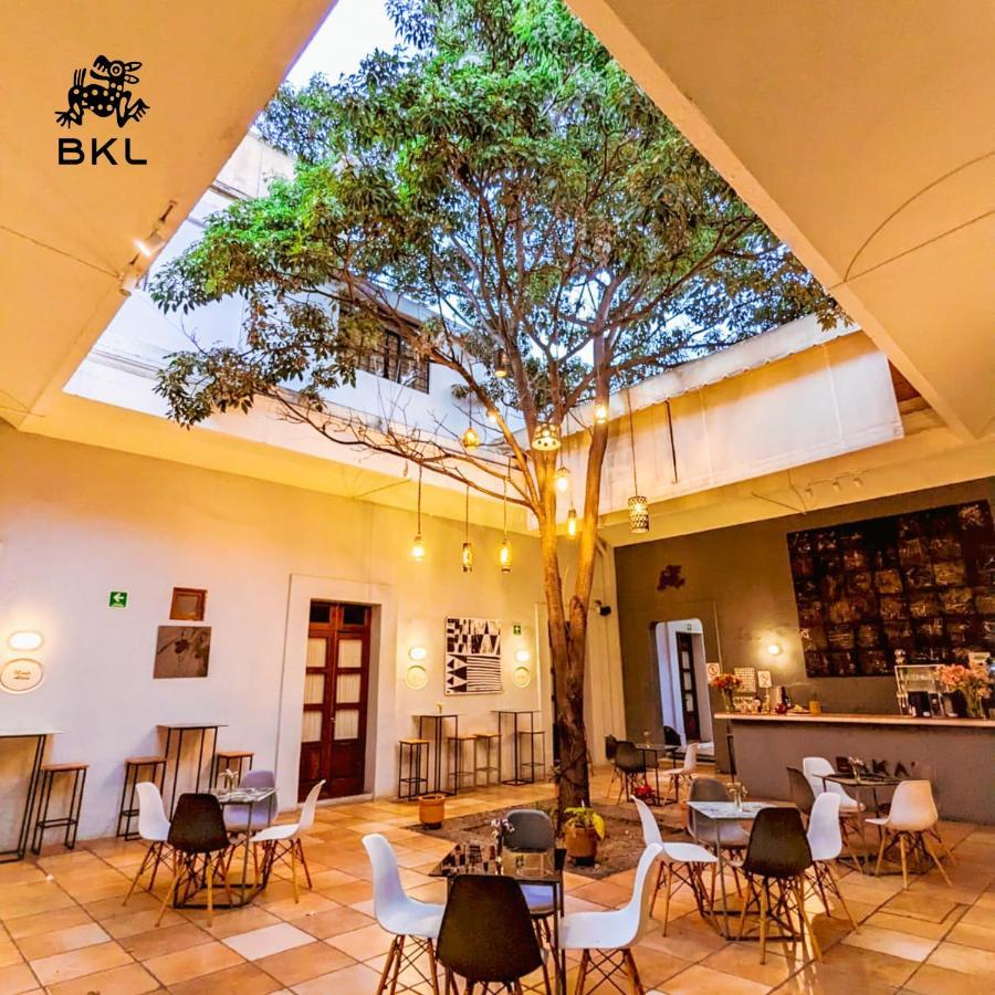 Bkl Hotel Oaxaca Kültér fotó